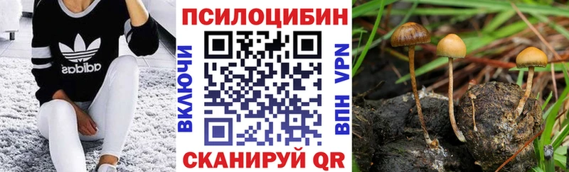Галлюциногенные грибы Cubensis мега ТОР Новомосковск купить наркотик